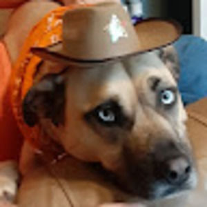 Meet your Posher, Kreeshuh